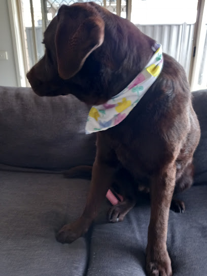 SCRUB-A-DUB DOG CLUB