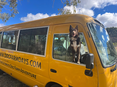 Adelaide Dog Farm Days