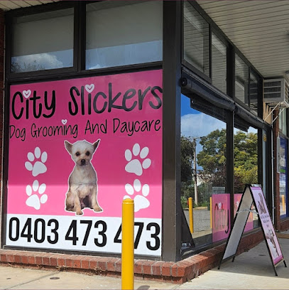 City Slickers Dog Grooming