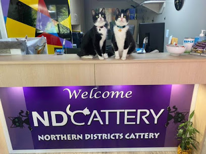 Northern Districts Cattery