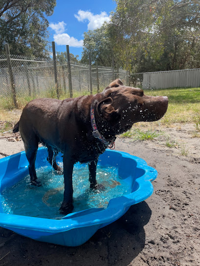 Pampered Pooch