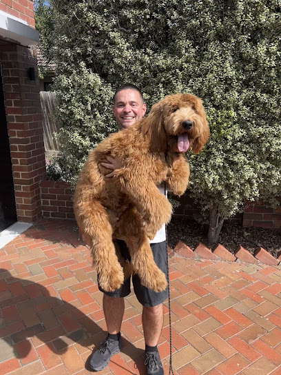 Lead Canine Co.
