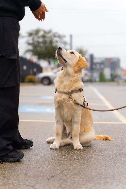 Coached Canine Dog Training
