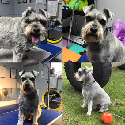Waggytails Farmstay Dog Grooming
