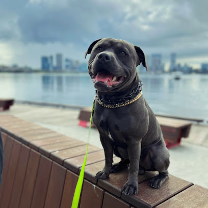 Primetime Dog Training