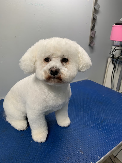 Rovers Dog Grooming