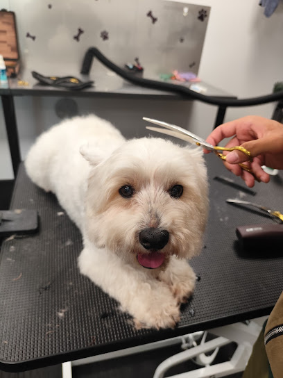Bark to the Future Grooming and Daycare