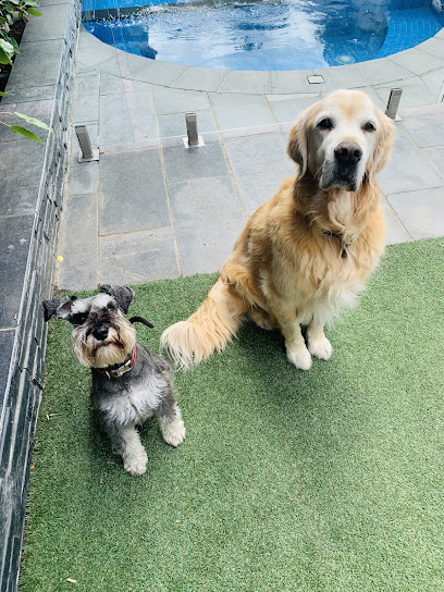 Pawshake