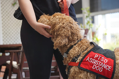 Helping Paws Assistance & Training