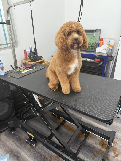 Poochie Mama Dog Grooming