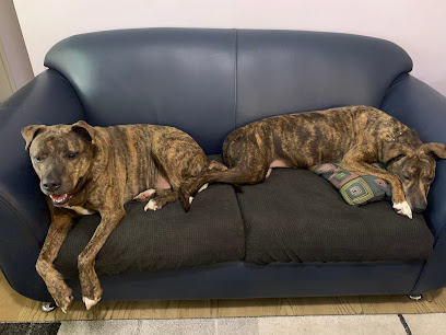 Blue Cross Animal Services