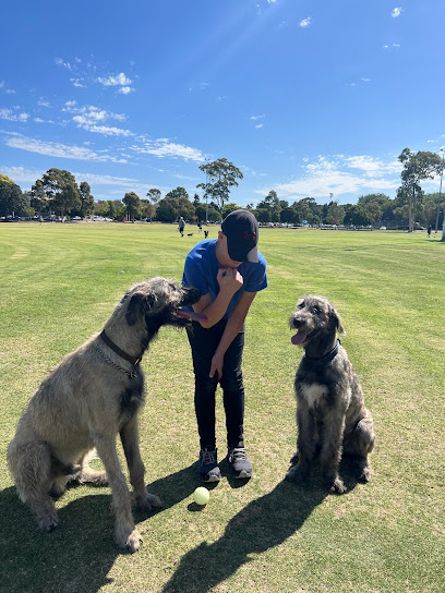 Calm K9 training