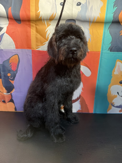 Peachy Pup Pet Spa
