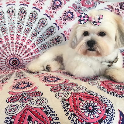 The Paw Palace Dog Grooming