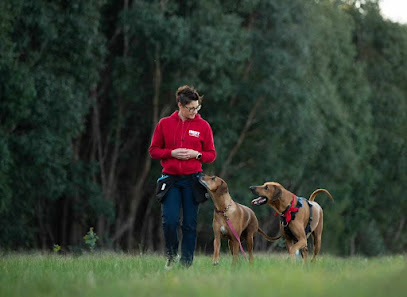 Trusty Tails – Behaviour Training