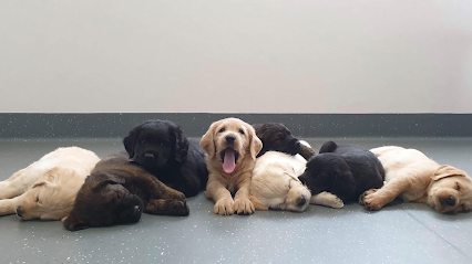 Kingston Veterinary Hospital
