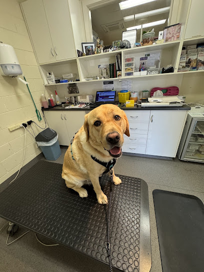 Mountain Ranges Vet Clinic