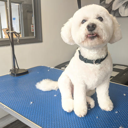 Dogue Cuts