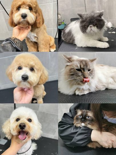 Momo Pet Grooming