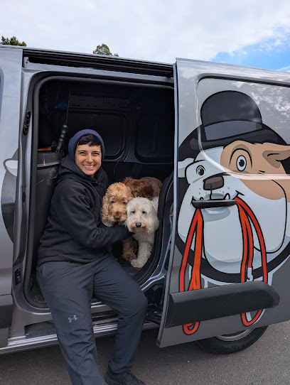 Mad Dogs & Englishmen Adelaide – Dog Walking and Doggy Daycare