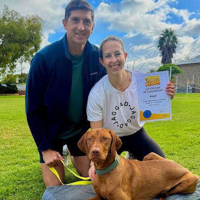 K9 Care Obedience Training