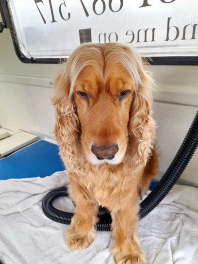 Melton Mobile Dog Wash and Grooming