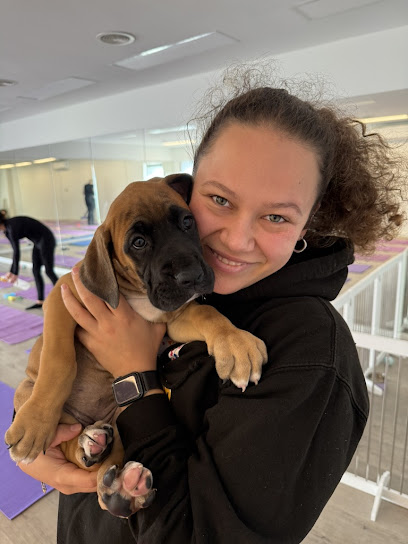 Puppy Yoga Adelaide | Yoga Paws