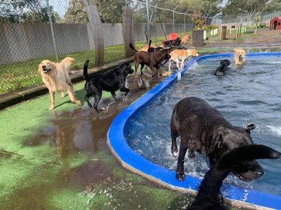 Hi-Five Boarding Kennels