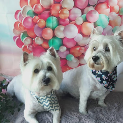 Fantasy Paws Pet Salon
