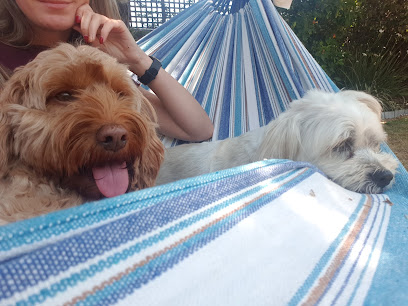 There Fur You Pet Sitting & Dog Walking
