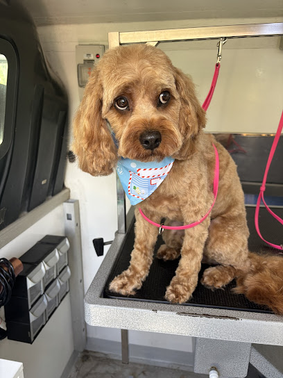 Innercity Dog Grooming