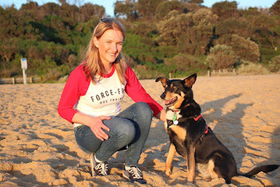 Bayside Dog Behaviour