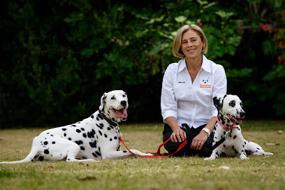 Positive Dog Training