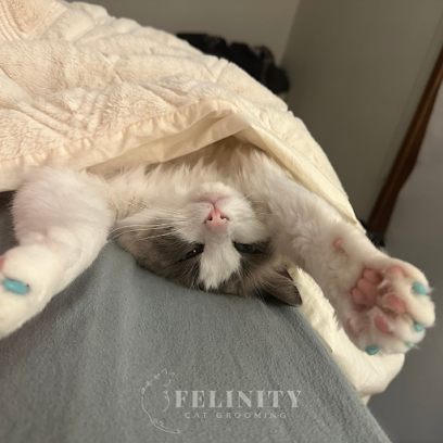 Felinity Cat Grooming