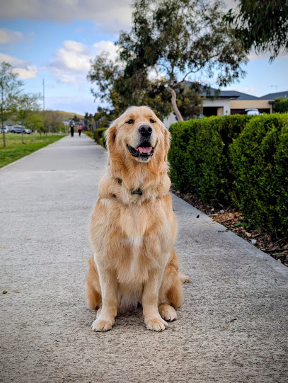 Donna’s dog grooming