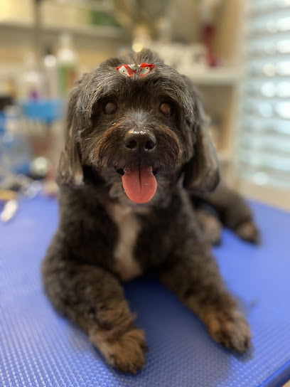 Fresh as a Daisy Dog Salon