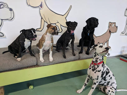Paws Zone