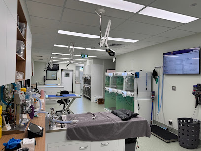Southcoast Animal Hospital