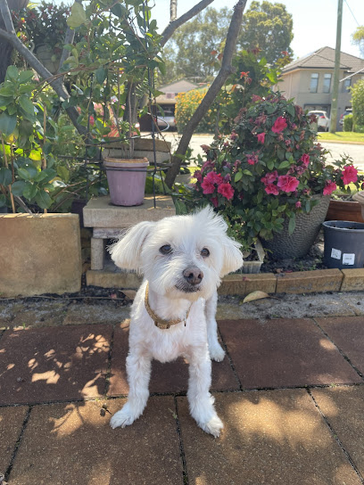 The Good Groomer WA