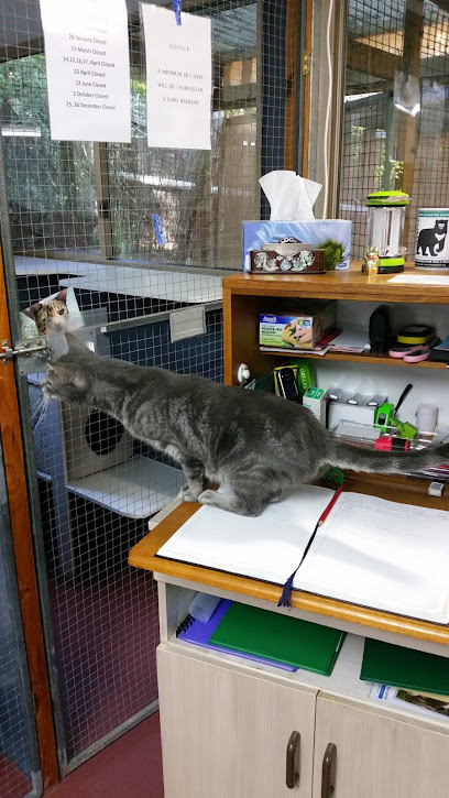 Blackwood Cottage Cattery