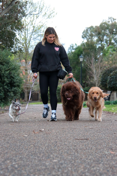 Calming Canines