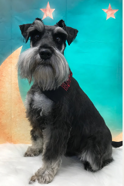 Monkey Business Dog Grooming