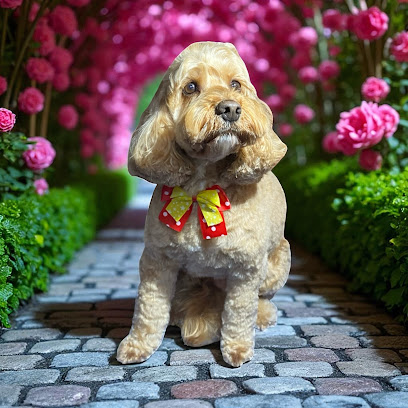 LUSCIOUS PAWS Dog Grooming