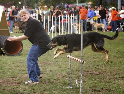 K9 Bodytalk