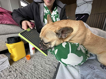 Balance Bites Veterinary Nutrition & Acupuncture