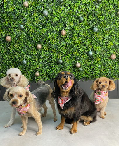 Westford Co. Dog Grooming