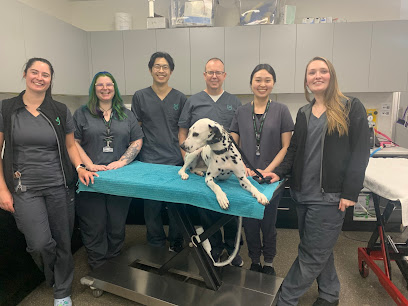 CARE Veterinary Hospital – 24/7 Emergency & Specialist Vets