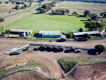 Dog Training Werribee and Spotswood /Planet K9