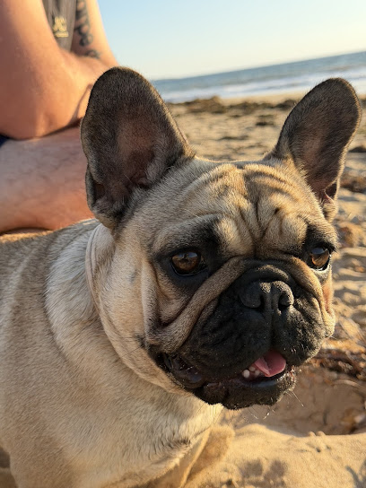 Sunset Retreat Kennels