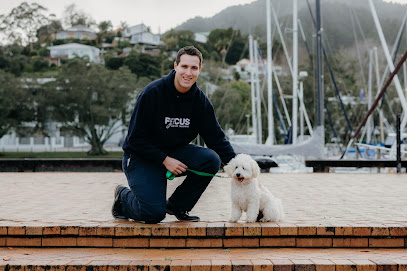 Focus On Dog Training